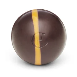 Dark Chocolate Ginger Truffles Selector