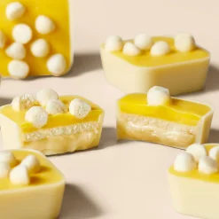 Lemon Chocolate Cheesecake Selector