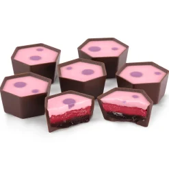 Triple Blackcurrant Chocolate Selector