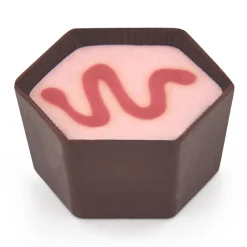 Triple Cranberry Chocolate Selector
